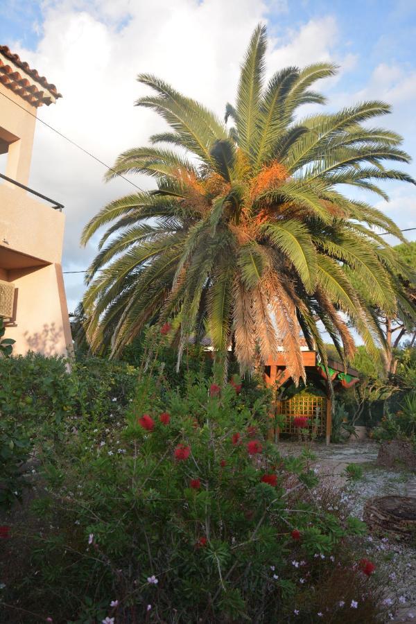 Ferienwohnung Rose De Sel Hyères Exterior foto