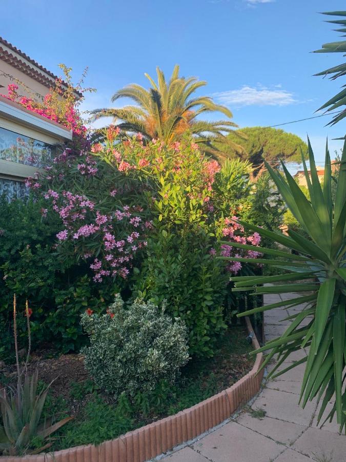 Ferienwohnung Rose De Sel Hyères Exterior foto
